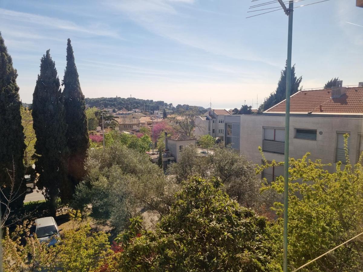 Greenview Apartment With Parking Rovinj Exterior foto